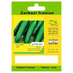 بذر خیار بوته ای زربذر ایرانیان کد ZBP-52