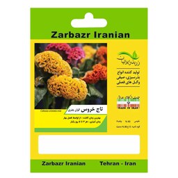 بذر گل تاج خروس الوان چتری زربذر ایرانیان کد ZBP-75