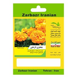 بذر گل جعفری نارنجی زربذر ایرانیان کد ZBP-78