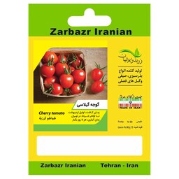 بذر گوجه گیلاسی قرمز زربذر ایرانیان کد ZBP-44