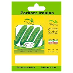 بذر خیار بوته ای زر بذر ایرانیان کد ZBP-22