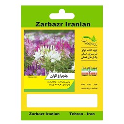 بذر گل چلچراغ الوان زربذر ایرانیان کد ZBP-79