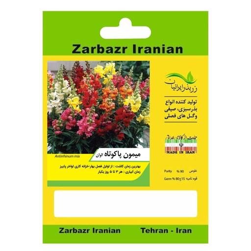 بذر گل میمون پاکوتاه الوان زربذر ایرانیان کد ZBP-109