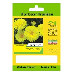 بذر گل همیشه بهار زرد زربذر ایرانیان کد ZBP-118