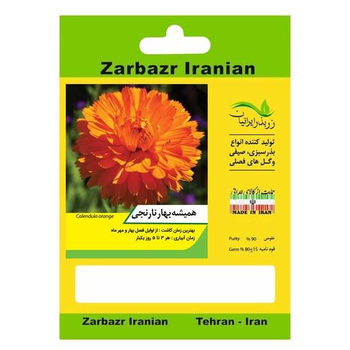 بذر گل همیشه بهار نارنجی زربذر ایرانیان کد ZBP-119