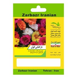 بذر گل ناز آفتابی الوان زربذر ایرانیان کد ZBP-111
