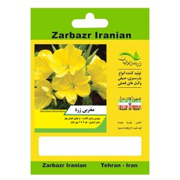 بذر گل مغربی زرد زربذر ایرانیان کد ZBP-105