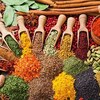 عطاری سالویا - 100% گیاهی