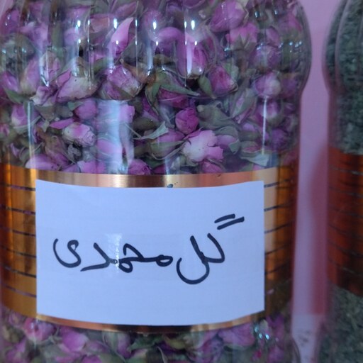 غنچه گل محمدی(کیلویی) 