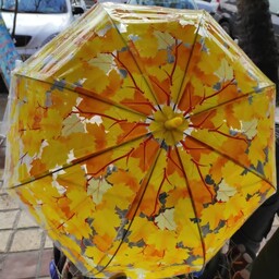 چتر پاییز طلقی