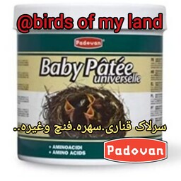 سرلاک پادوان ایتالیا پرنده 100گرمbaby patee uoniversal