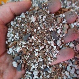 خاک مخصوص هویا مخصوص ریشه های اپی فیت در بسته های 8 لیتری
