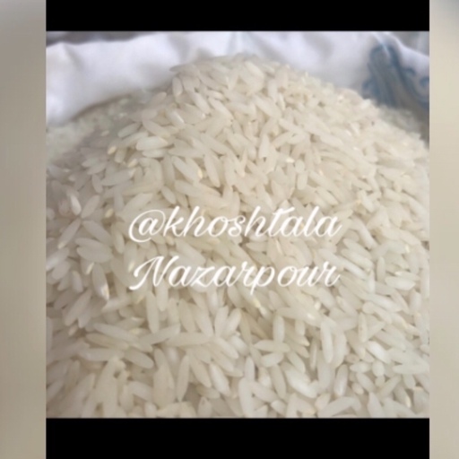برنج کشت دوباره طارم محلی معطر امساله درجه یک 10 کیلویی