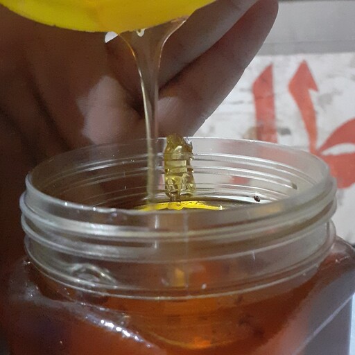 عسل کنار طبیعی (500گرمی)