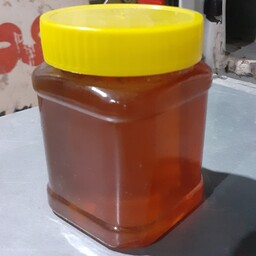عسل کنار طبیعی (500گرمی)
