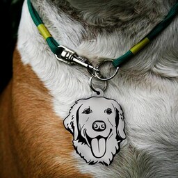 پلاک اویز قلاده سگ استیل همراه با حک مشخصات و هویت حیوانات و شماره تماس اضطراری(سفارشی سازی)