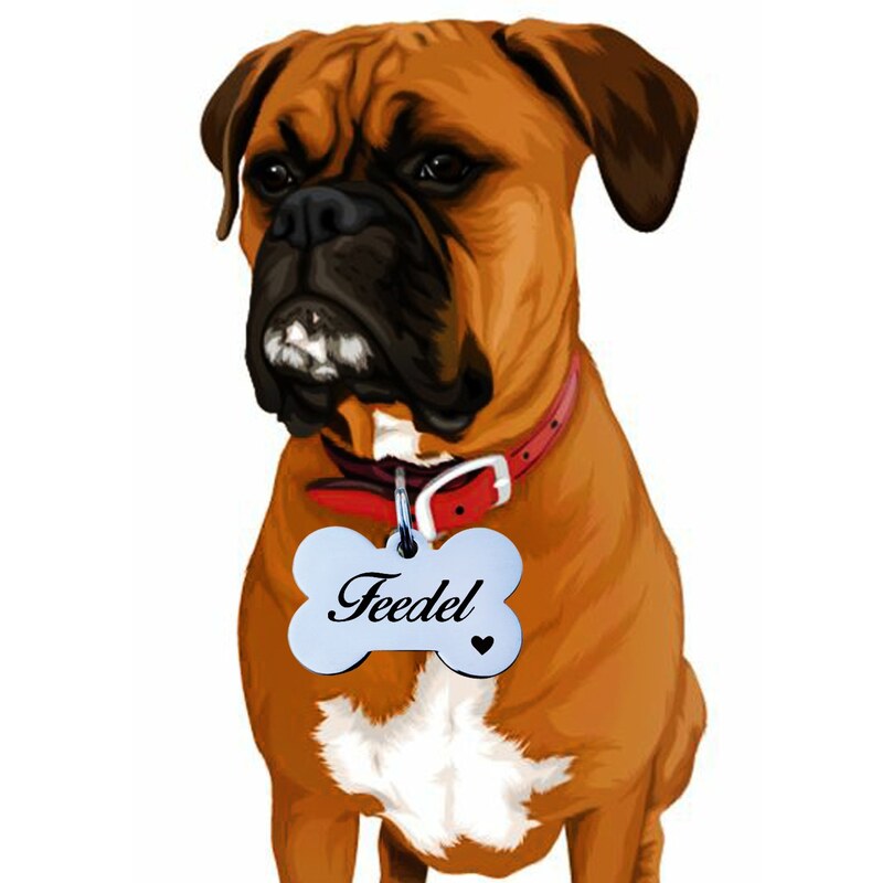 آویز قلاده سگ استیل همراه با حک مشخصات  هویت ی پت شما و شماره تماس اضطراری (سفارشی سازی)