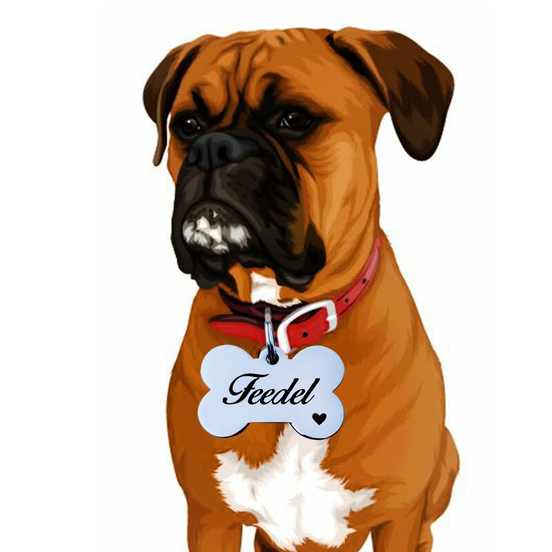 آویز قلاده سگ استیل همراه با حک مشخصات هویتی پت شما و شماره تماس اضطراری (سفارشی سازی)