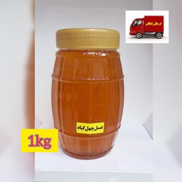 عسل طبیعی چهل گیاه (یک کیلوگرمی) 
