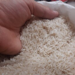 برنج معطر گوهر درجه یک قد بلند شالیزار های جنوب کشور کشت امسال 