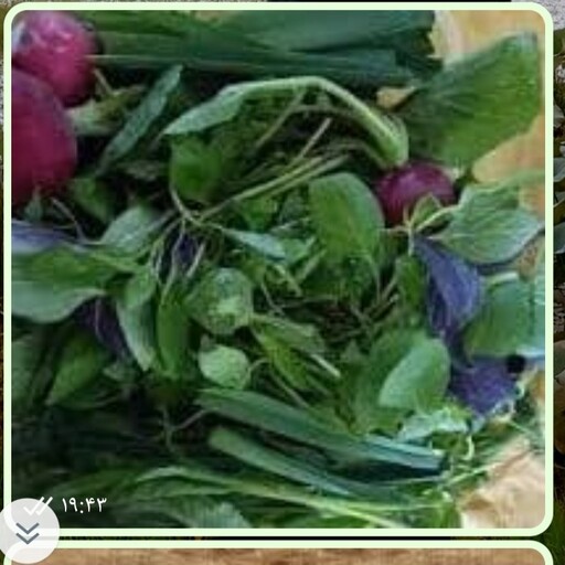 سبزی خوردن تمیز شده با بسته بندی زیپ دار 