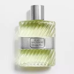 عطر اسانس دیور او ساواج ( ساوج ) Dior Eau Sauvage حجم 30 میل