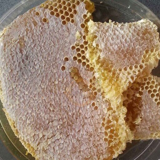 عسل موم دار خود بافت زنبور عسل با طعم و مزه عالی 