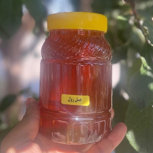 عسل طبیعی  زول یا بوقناق (یک کیلویی) ساکارز زیر 2 درصد