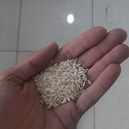 برنج عنبربو فدک امساله و درجه یک ( 1 کیلویی)