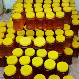 عسل گون و آویشن بسیار با کیفیت مستقیم از زنبوردار