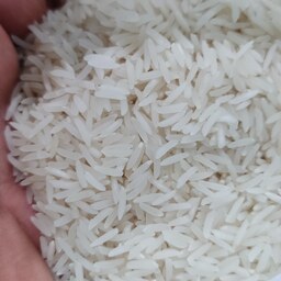برنج فجر سوزنی گرگان معطر امساله کشت اول 20 کیلویی