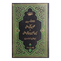 کتاب شناخت نامه شهیدین محمد بن مکی عاملی و زین  الدین بن علی عاملی - جمعی از محققان - پژوهشگاه علوم و فرهنگ اسلامی 