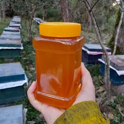 عسل طبیعی سبلان یک کیلویی مصرف روزانه