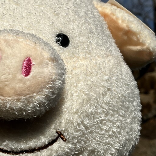 عروسک خوک پارچه ای سایز بزرگ وارداتی اورجینال کرم رنگ
