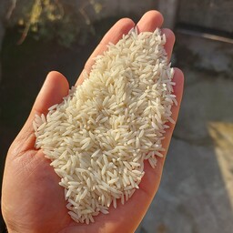 برنج طارم هاشمی اصیل و محلی 1402 فریدونکنار 10kg  برنج جمالی