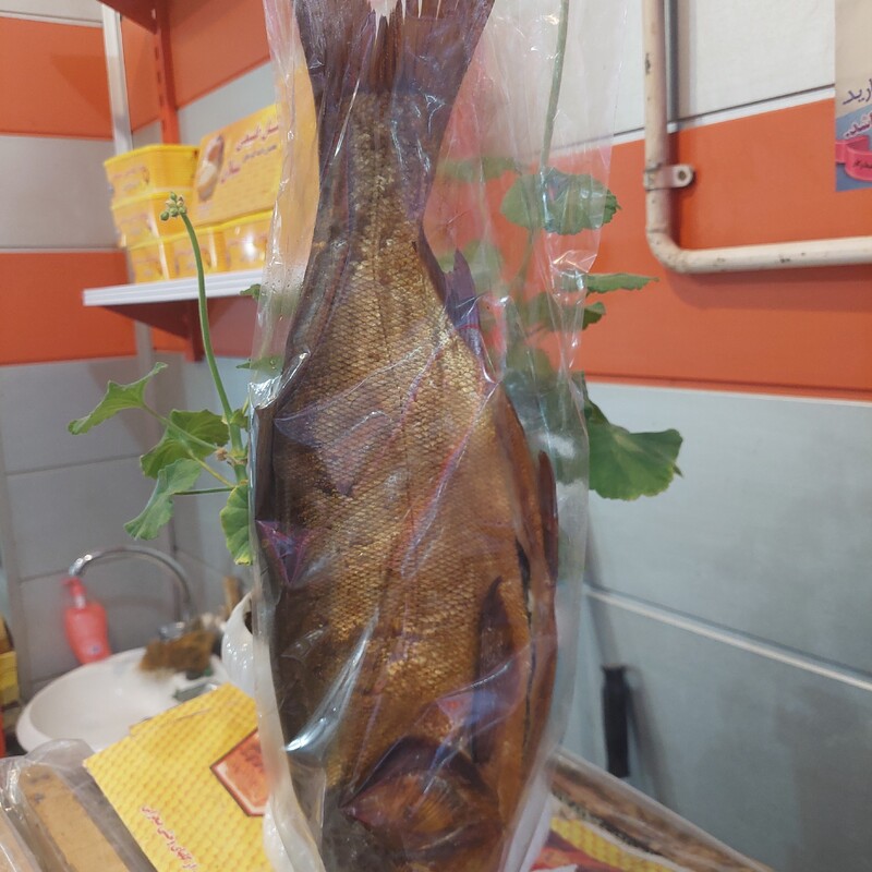 ماهی دودی اردبیل(قورو بالخ(بسیار خوش طعم و سوغات اردبیل )ماهی قزل الا 