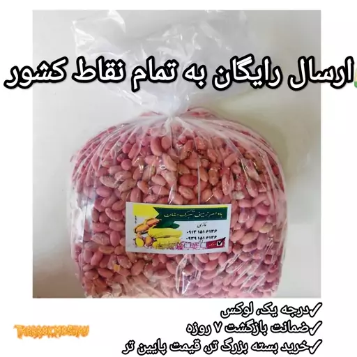 بادام زمینی ایرانی تبرک مغان  درجه یک (تخفیف ویژه ) ( سایز درشت ) کم نمک و امسال 5 کیلویی مغز بوداده ( برشته )