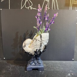 گلدان صدفی دکوری رومیزی دریایی سنگان سایز بزرگ (اصل)