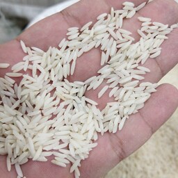 برنج هاشمی قد بلند خالص بدون شکسته  قیمت عمده