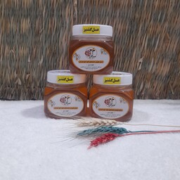عسل گشنیز  طبیعی (500گرمی)