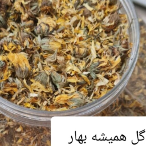 گل همیشه بهار