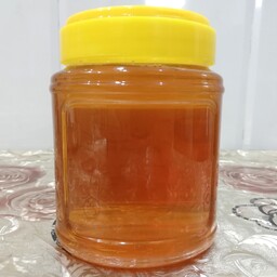 عسل 3 گیاه(گون، تیغال، گشنیز) با خاصیت درمانی اشترانکوه لرستان 1 کیلویی 