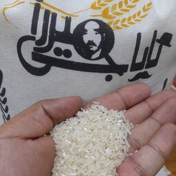 سرلاشه برنج  باباجی میرزای 