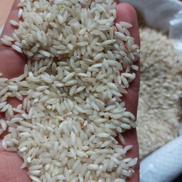 برنج عنبربو درجه یک (بدون خرده، 1 کیلوگرم)