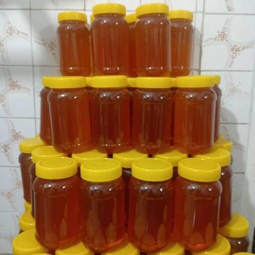 عسل آویشن طبیعی بدون تغذیه با ضمانت مرجوعی ساکارز 3.6 یک کیلویی
