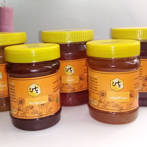 عسل طبیعی اوکالیپتوس  یاس،نیم کیلویی ،خالص و بدون شکر 