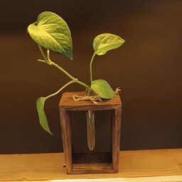 گلدان چوبی مدل 101 برای پرورش قلمه گل