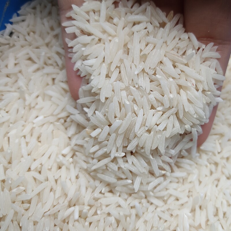 برنج فجر محلی گیلان 5 کیلویی 