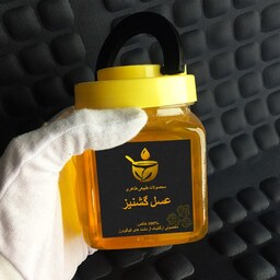 عسل طبیعی گشنیز الیگودرز  100 درصد خالص بطری 500 گرمی 