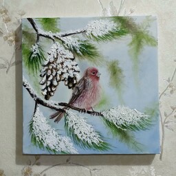 نقاشی رنگ روغن پرنده برفی ابعاد 25 در 25 بوم دیپ
